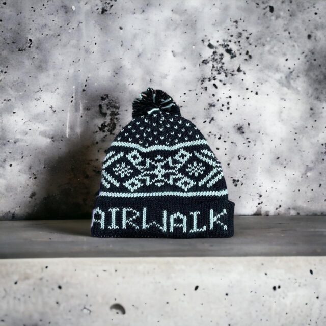 Vintage Y2K Airwalk Snowboarding Beanie Hat