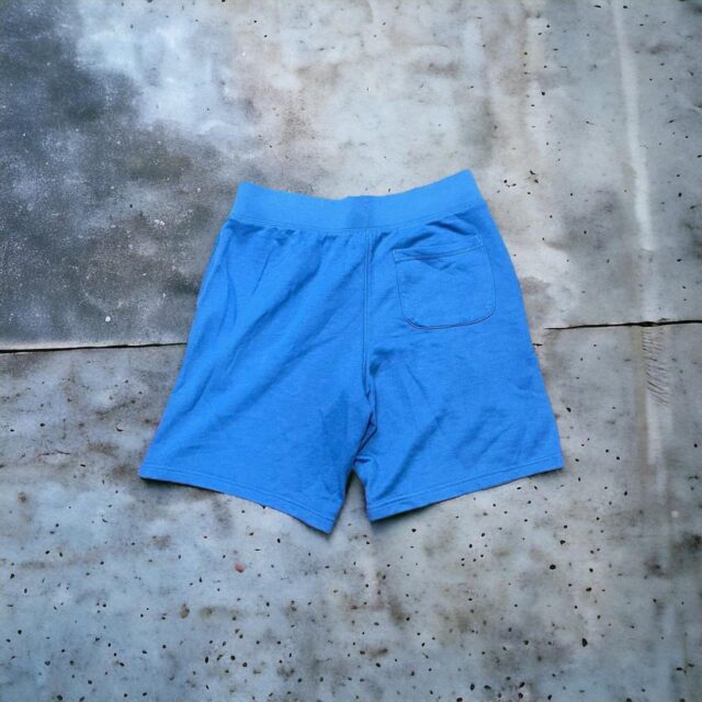 Men's Y2K Blue Champion Shorts - L