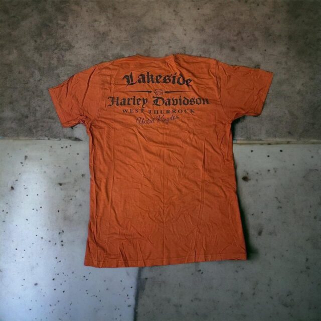 Men's Vintage Y2K Flame Print Harley Davidson Spell Out Tshirt - M