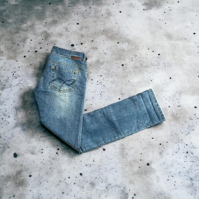 Y2K Terranova Ladies Blue Low Rise Denim Jeans - L
