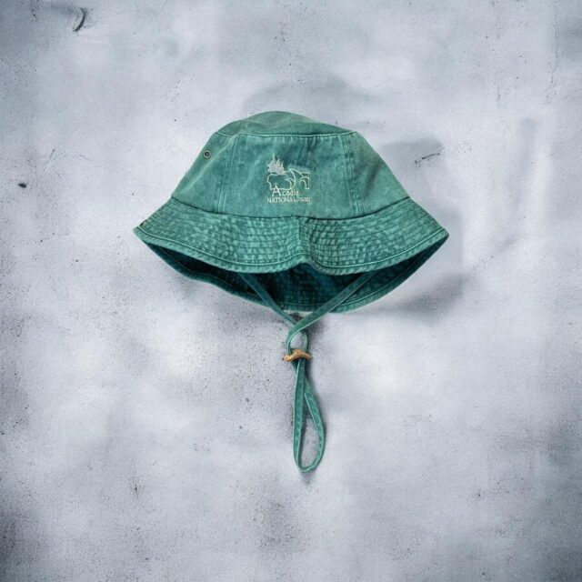 Vintage Y2K Acadia National Park Bucket Hat